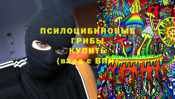дурь Аркадак