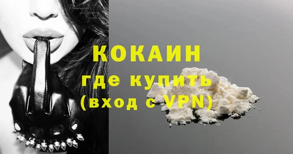 мяу мяу мука Баксан