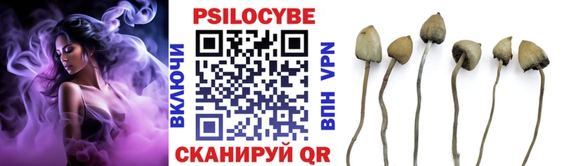Псилоцибиновые грибы мицелий  купить закладку  Кондопога 